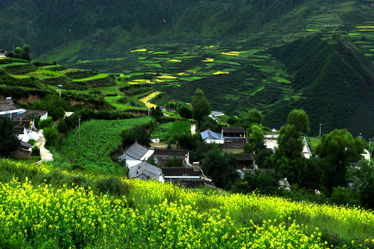 冶力关农家小院和高山梯田