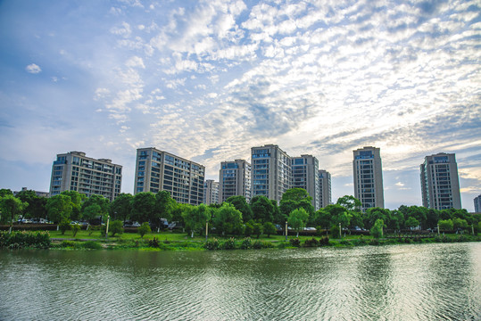 湖边高层建筑群