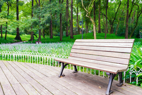 公园景观树林休息椅