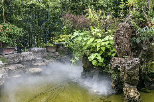假山水池竹林园林景观