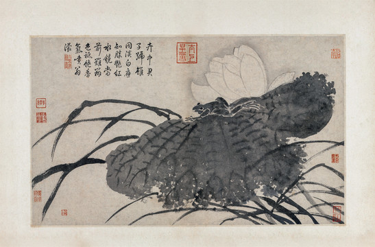 沈周荷花與蹲蛙圖