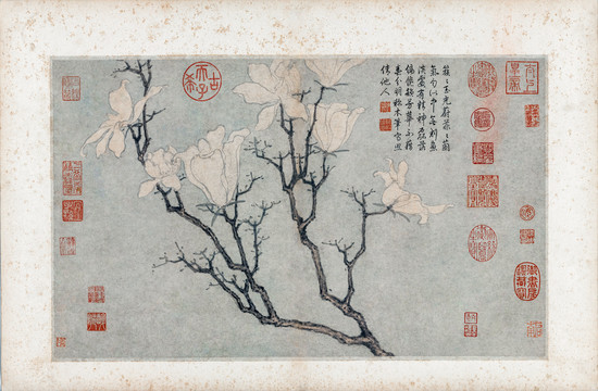 沈周寫生玉蘭圖