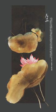 手繪荷花