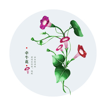 牽?；? style=