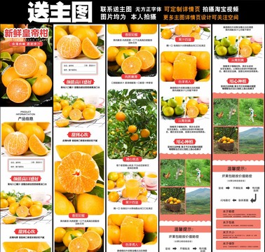 皇帝柑詳情頁設(shè)計