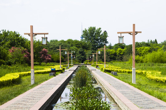 隋唐城遗址植物园