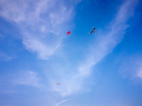 天空风筝