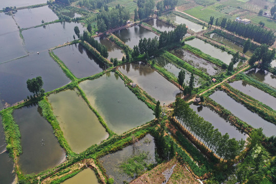 山东枣庄周村水库