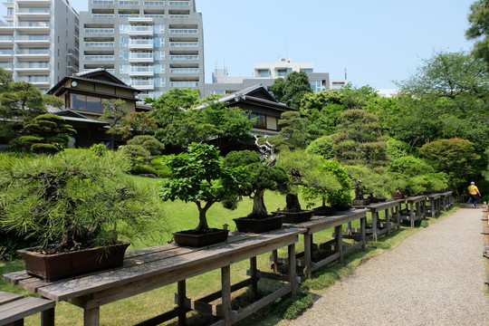 日本园林