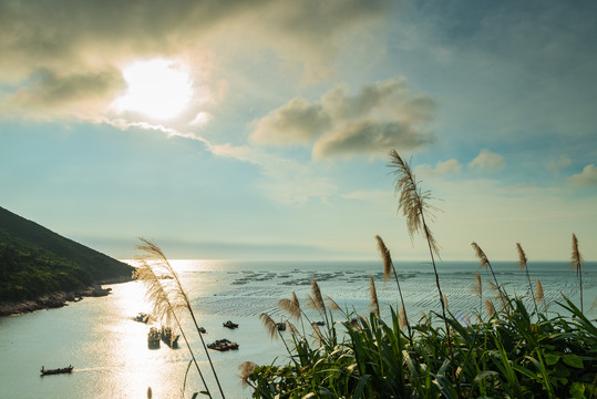 南麂岛海水养殖