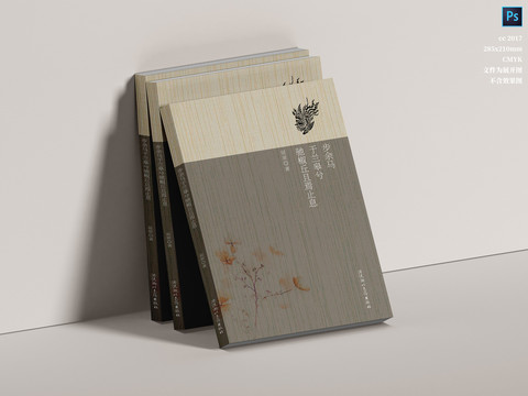 書籍封面畫冊封面