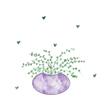 綠色盆栽植物