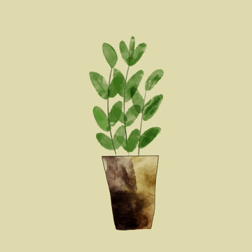 綠植盆栽
