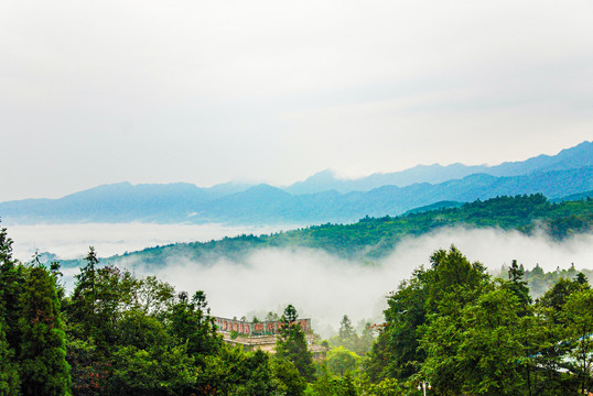 四川茶山