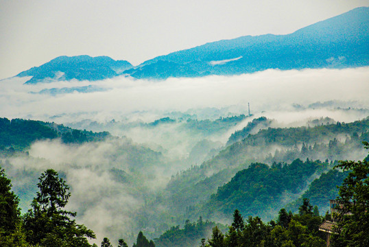 四川茶山