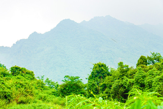 四川茶山