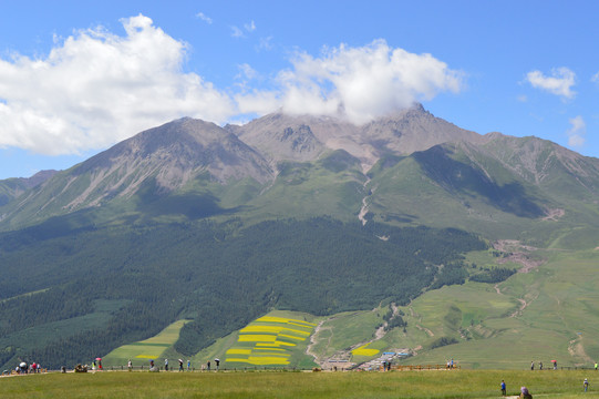 祁连山风景