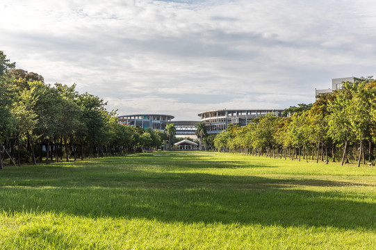 华南师范大学大学城校区草坪