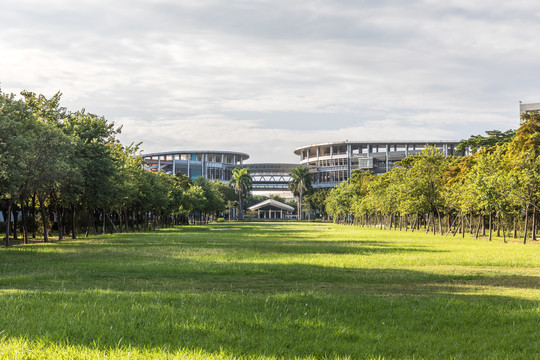 华南师范大学大学城校区草坪