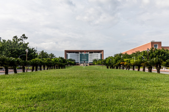 中山大学草坪