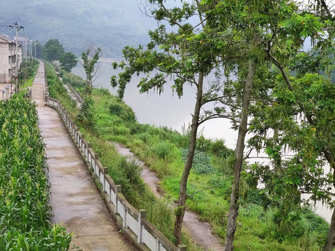 河堤护栏