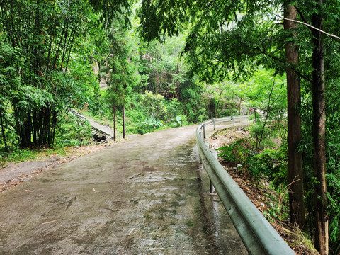 乡村公路护栏