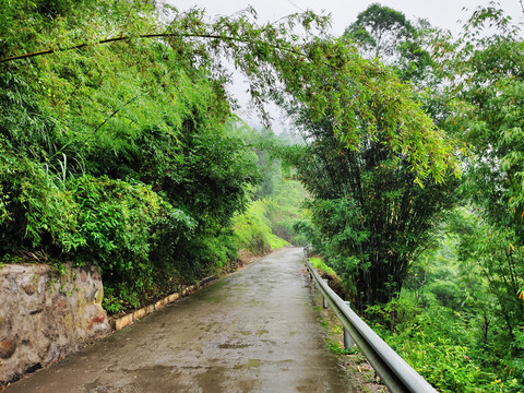 乡村公路护栏