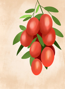 分层手绘树枝上的红枣插画