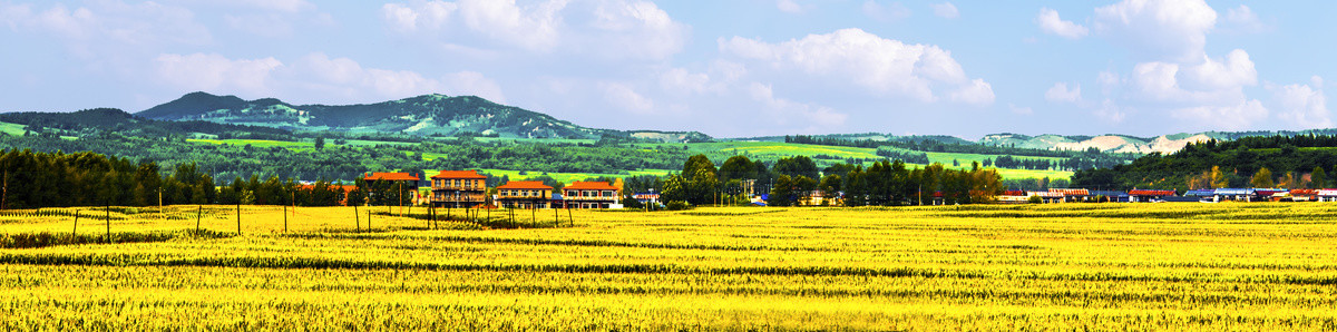 田园风景