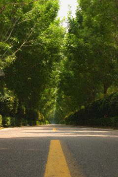 乡间小路