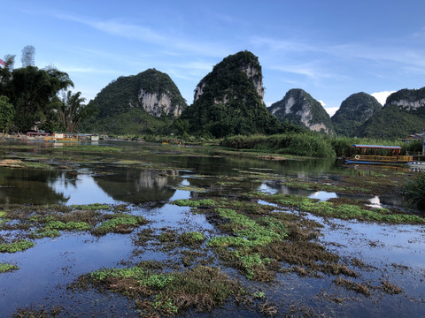 鹅泉里的水草