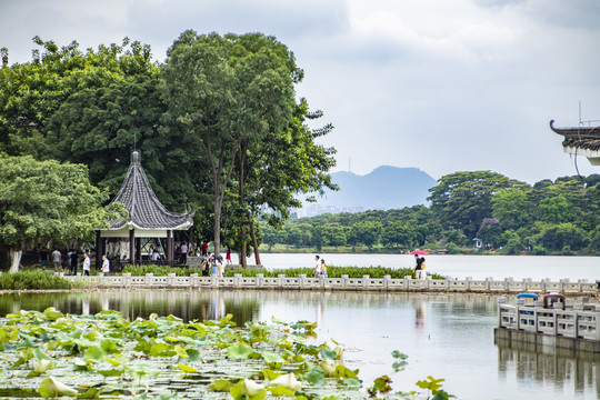 湿地公园