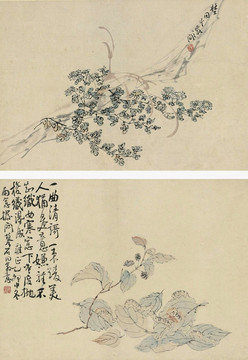 李鱔摹石田花卉草蟲