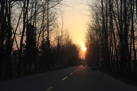 霞光中的乡村道路