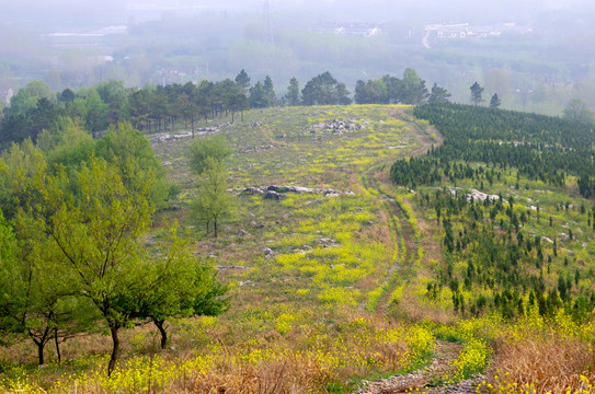 四月丰山岭