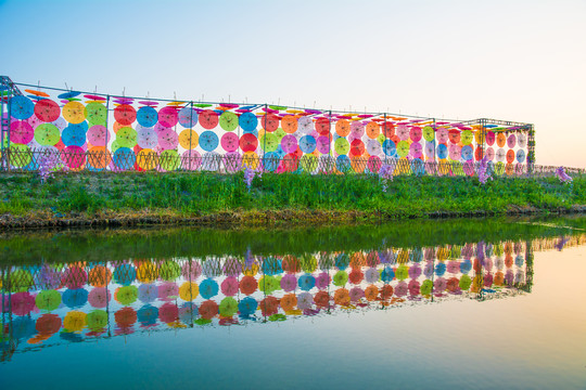 花伞背景