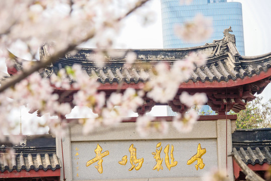 古鸡鸣寺