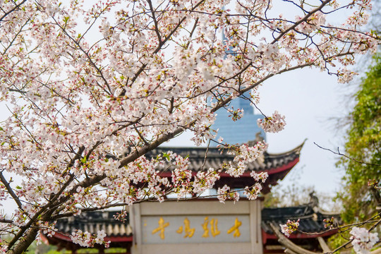 鸡鸣寺