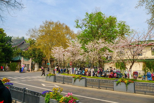 南京古鸡鸣寺