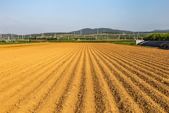 农田黄土地