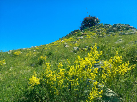 草原敖包山