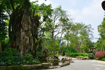 园林风景