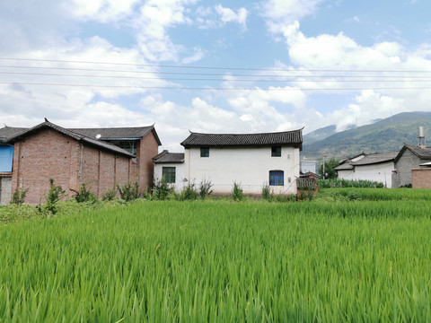 田野上的民居