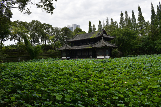 新都湖心楼