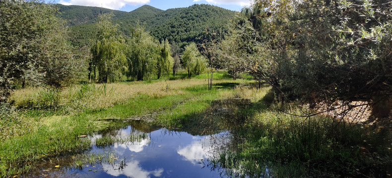 泸沽湖