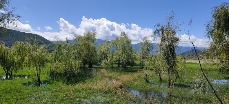 泸沽湖