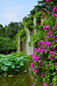 成都百花潭公园瀑布