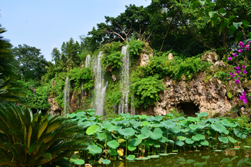 成都百花潭公园瀑布