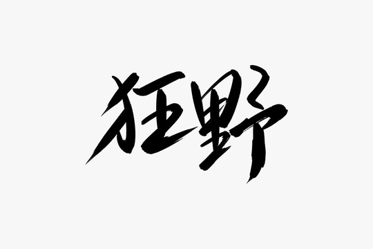 狂野书法艺术字