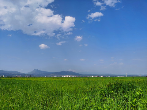 呼和浩特敕勒川草原